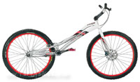 231 Kamel '08