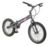 Comp 2010