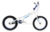 Onza Bird 2013