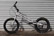 Echo Lite 2011 Custom Spec