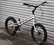 Echo Lite 2011 Custom Spec
