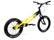Koxx Yellow