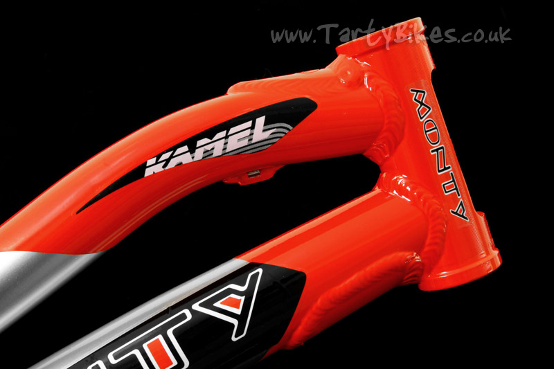 Kamel red coupons