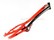 Neon Bow 20" 2011