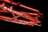 Neon X-Ray 20"