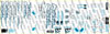 Koxx Simple Sticker Kit