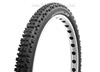 Schwalbe Big Betty
