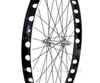 Onza / Echo Non Disc 24" Front