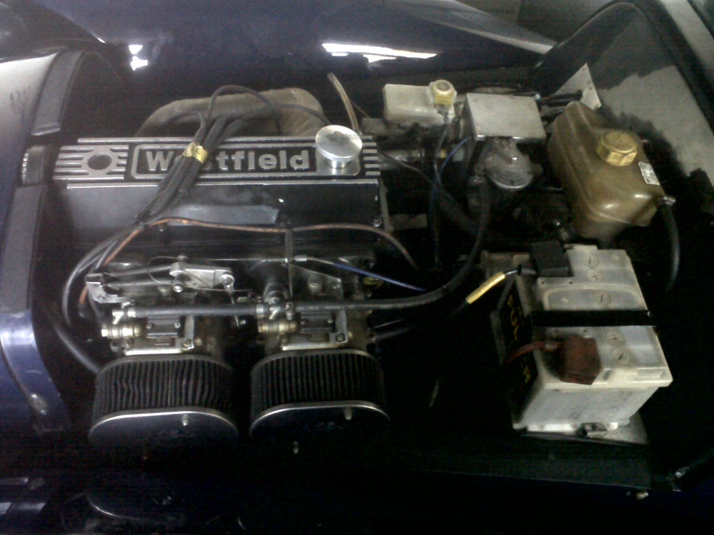aliwesty6.jpg