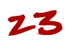23