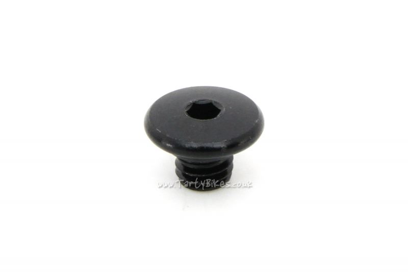 Shimano BLM666 Bleed Bolt with O-Ring